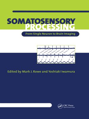 cover image of Somatosensory Processing